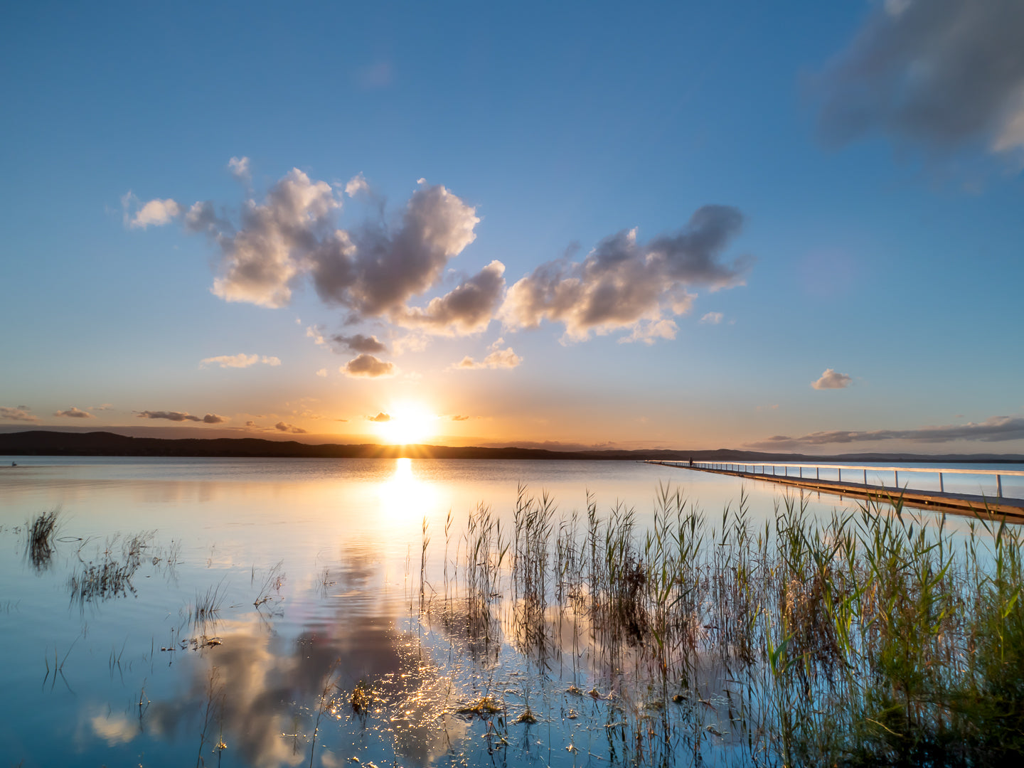 Long Jetty Reeds