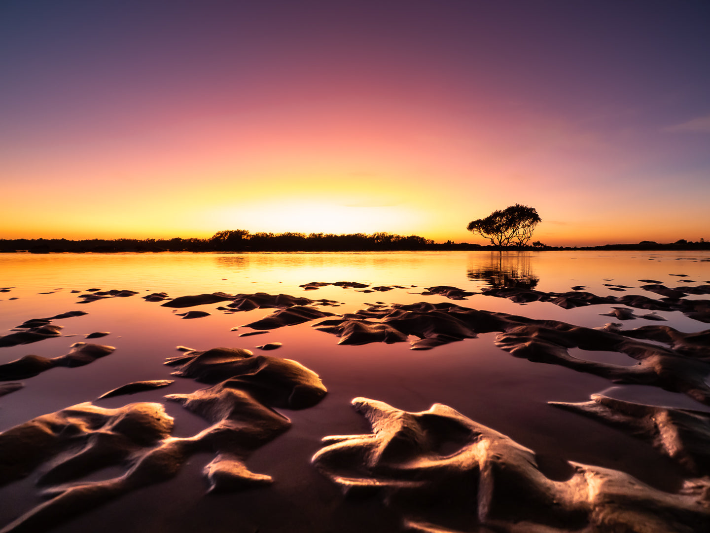 Starfish Sands