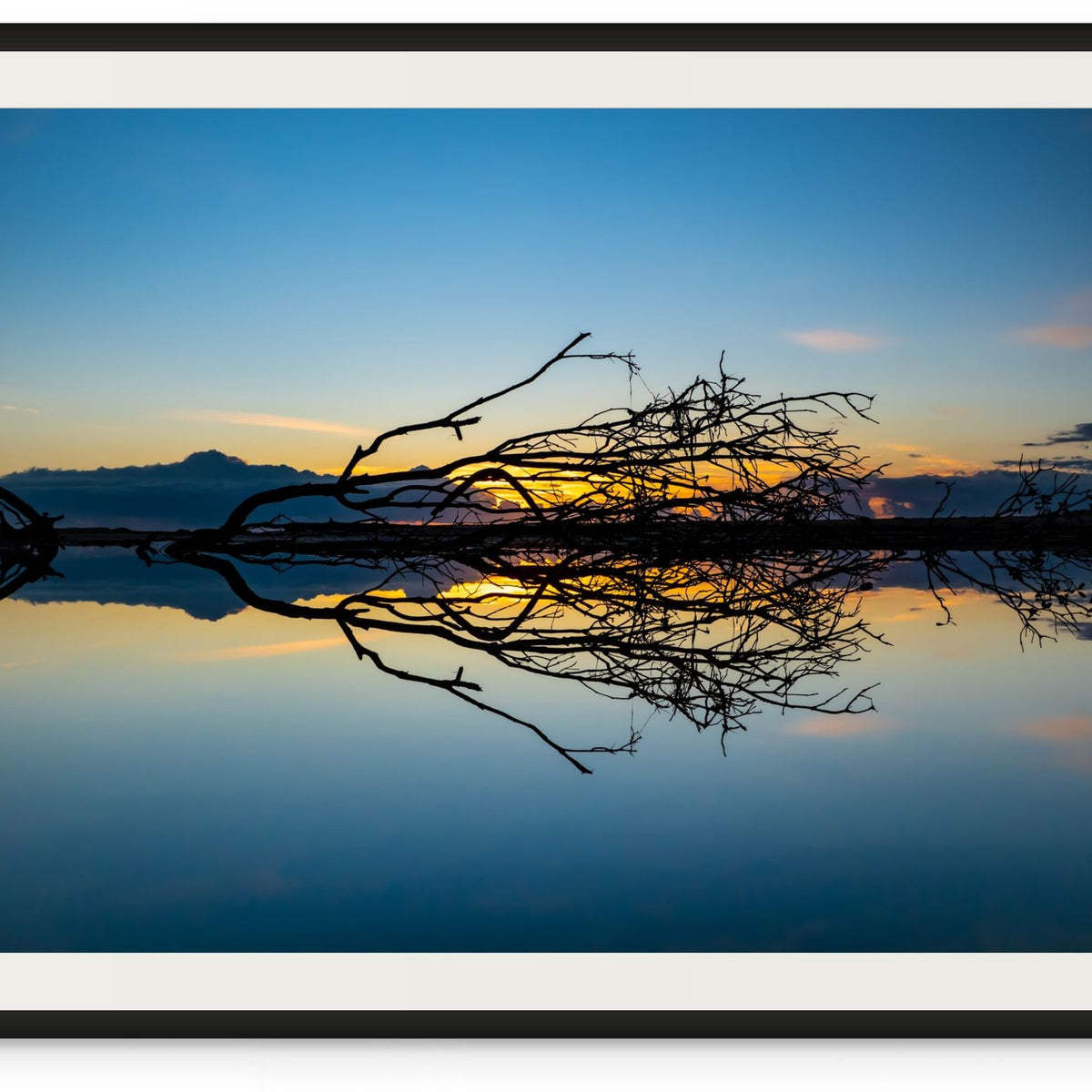 Fallen Friends Fallen Friends – Barney Maple Photography