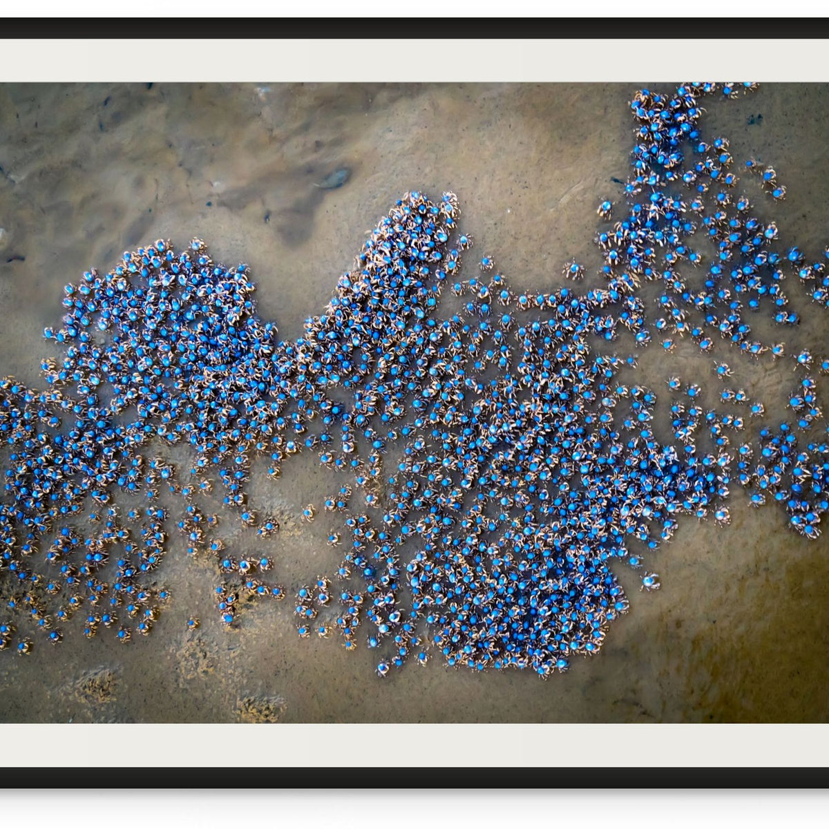 Sandy Soldiers – Barney Maple Photography